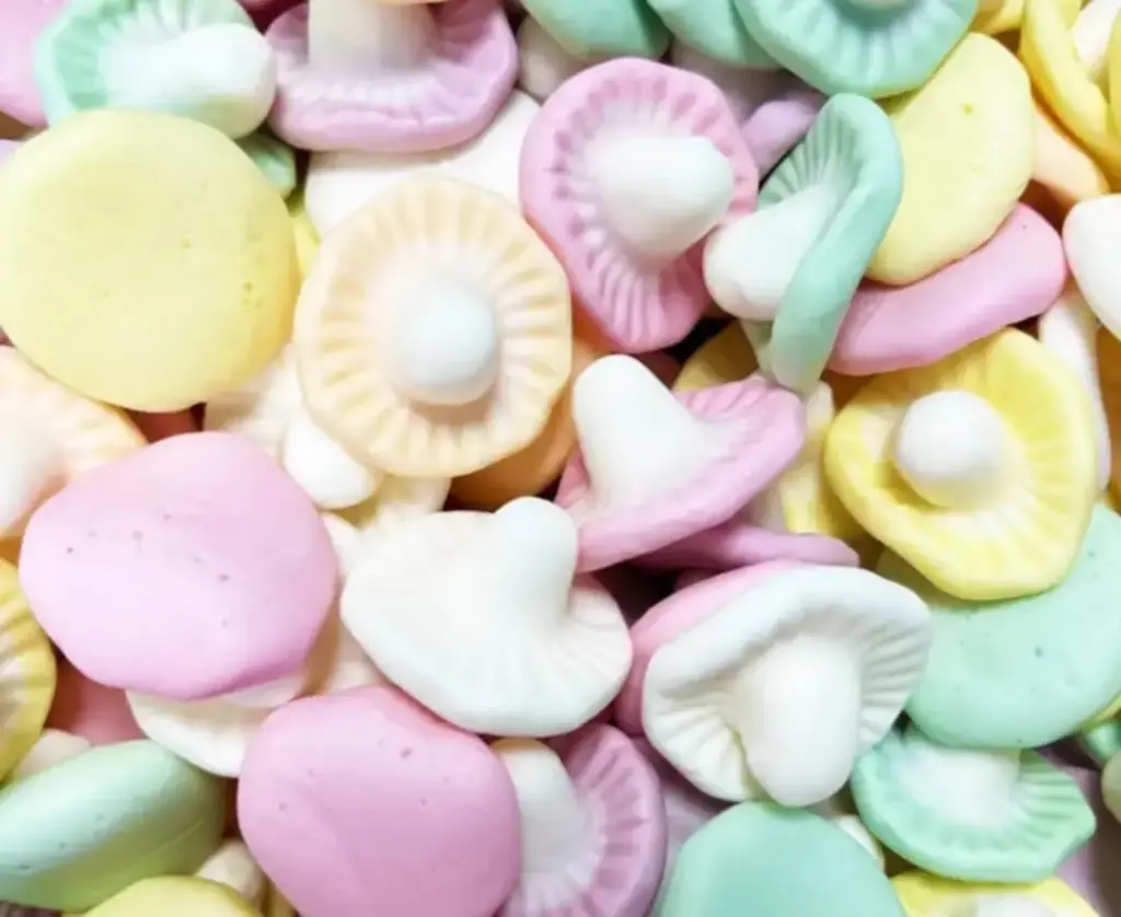 Champignon (vendu par 100 gr)