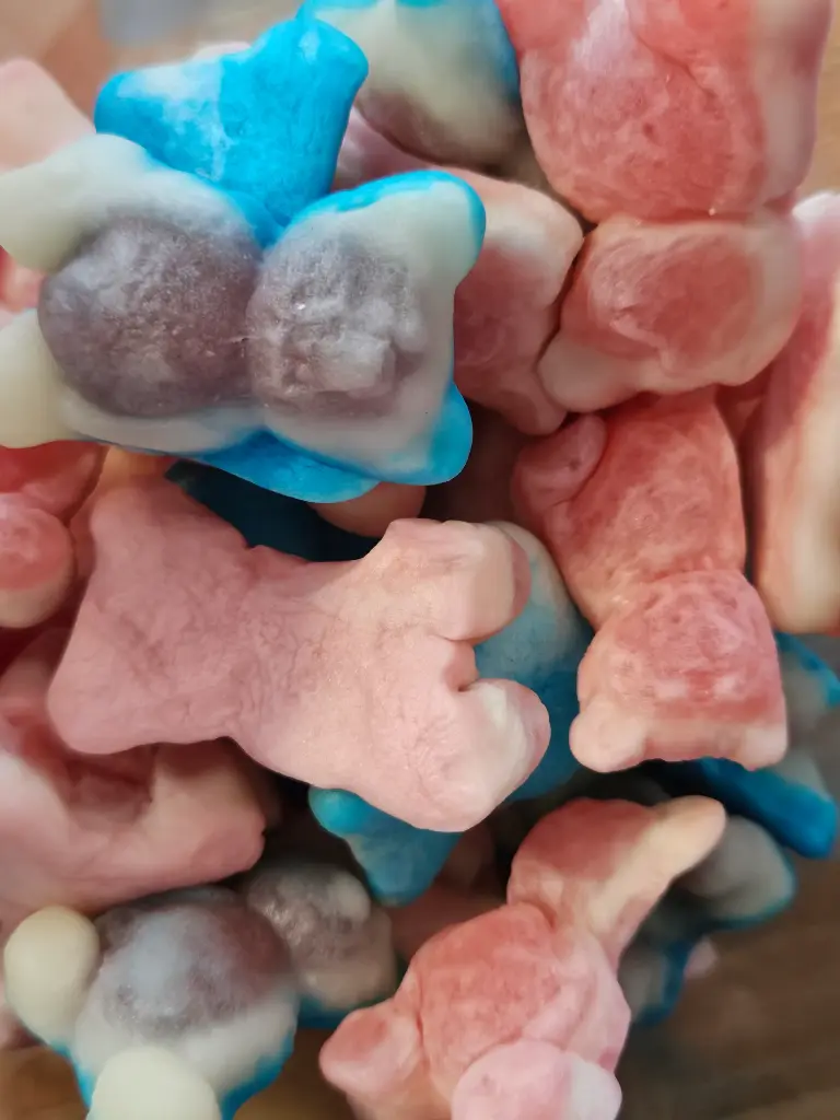 Ours farcis (vendu par 100 gr)